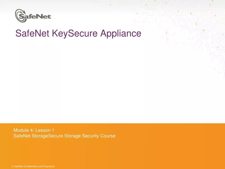safenet keysecure appliance