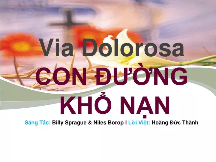 via dolorosa con ng kh n n s ng t c billy sprague niles borop i l i vi t ho ng c th nh