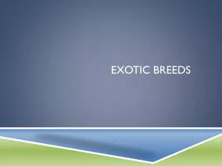 Exotic Breeds