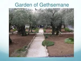 Garden of Gethsemane