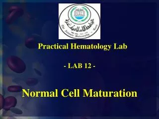 Normal Cell Maturation