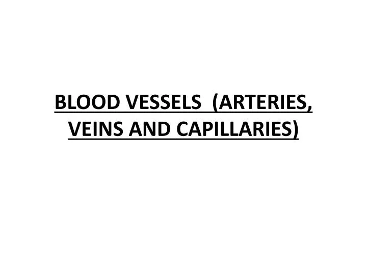 blood vessels arteries veins and capillaries