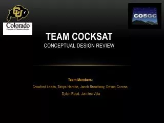 Team Cocksat Conceptual Design Review