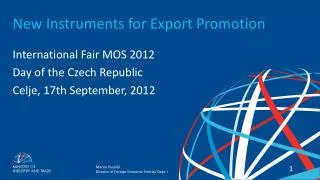 New Instruments for Export Promotion