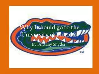 Why I should go to the University of Florida!!