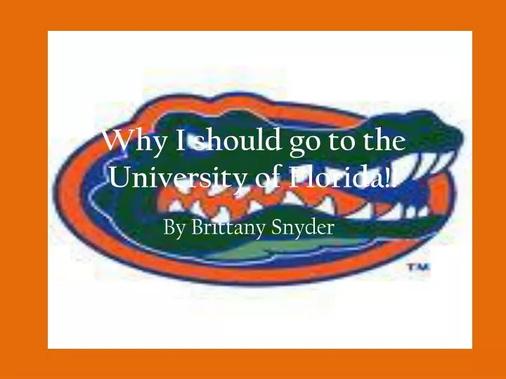 why i should go to the university of florida