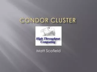 Condor Cluster