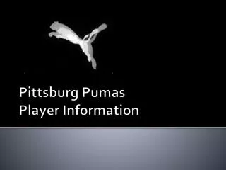 Pittsburg Pumas Player Information