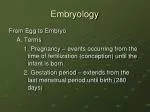 Embryology - slide 1