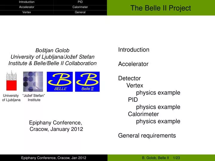 the belle ii project