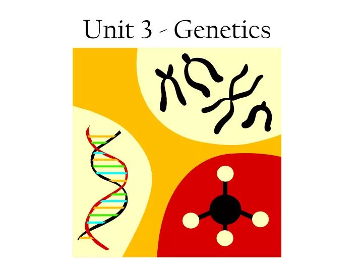 unit 3 genetics