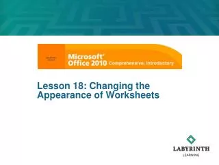 Lesson 18: Changing the Appearance of Worksheets