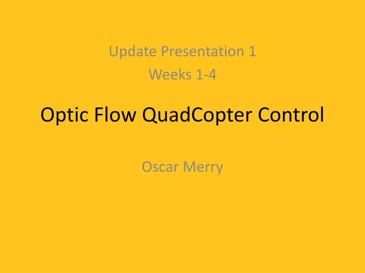 optic flow quadcopter control