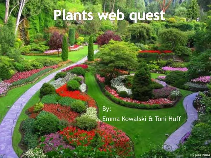 plants web quest
