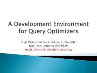 A Development Environment for Query Optimizers