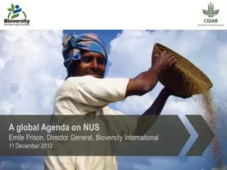 A global Agenda on NUS Emile Frison, Director General, Bioversity International 11 December 2012