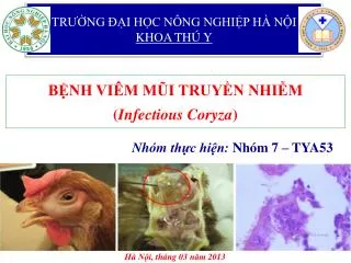 tr ng i h c n ng nghi p h n i khoa th y