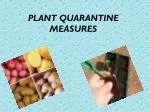 PLANT QUARANTINE MEASURES - slide 1