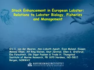 Stock Enhancement in European Lobster: Relations to Lobster Biology, Fisheries and Management