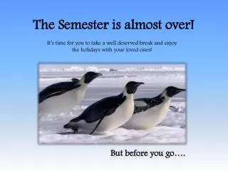 The Semester is almost over!