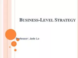 business level strategy