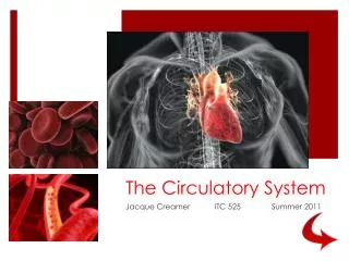 The Circulatory System