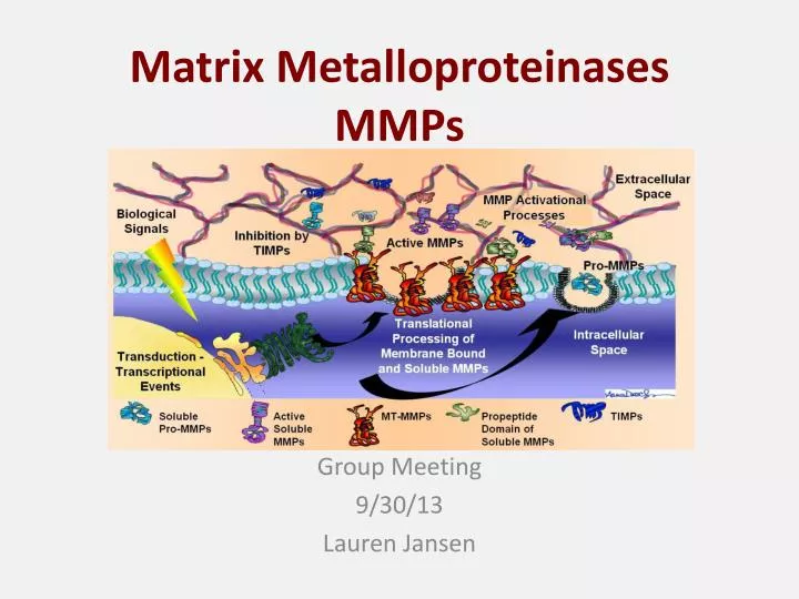 matrix metalloproteinases mmps