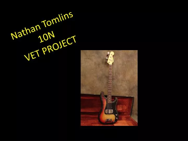 nathan tomlins 10n vet project