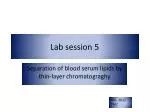 Separation of Blood Serum Lipids by Thin-Layer Chromatography - slide 1