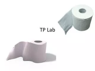 TP Lab