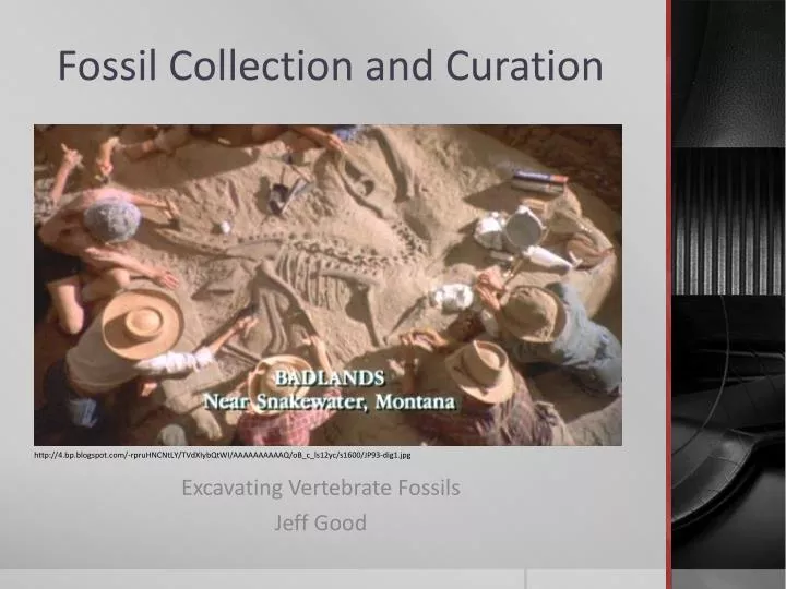 fossil collection and curation