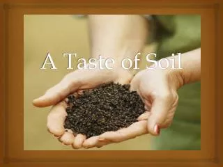 A Taste of Soil