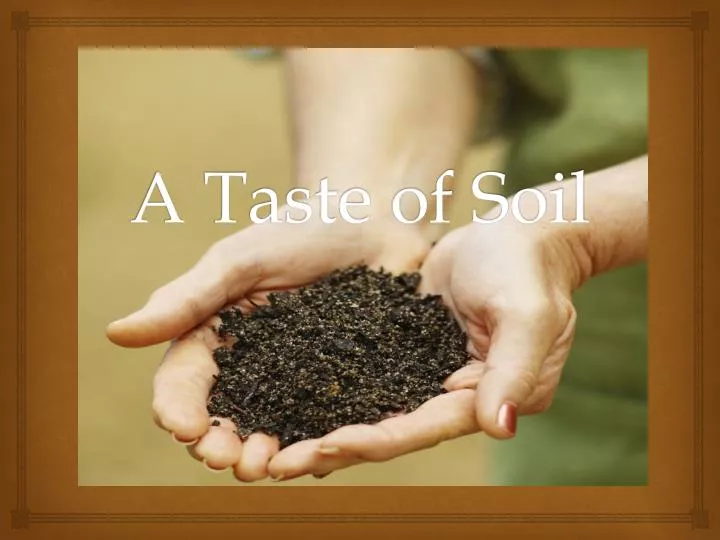 a taste of soil