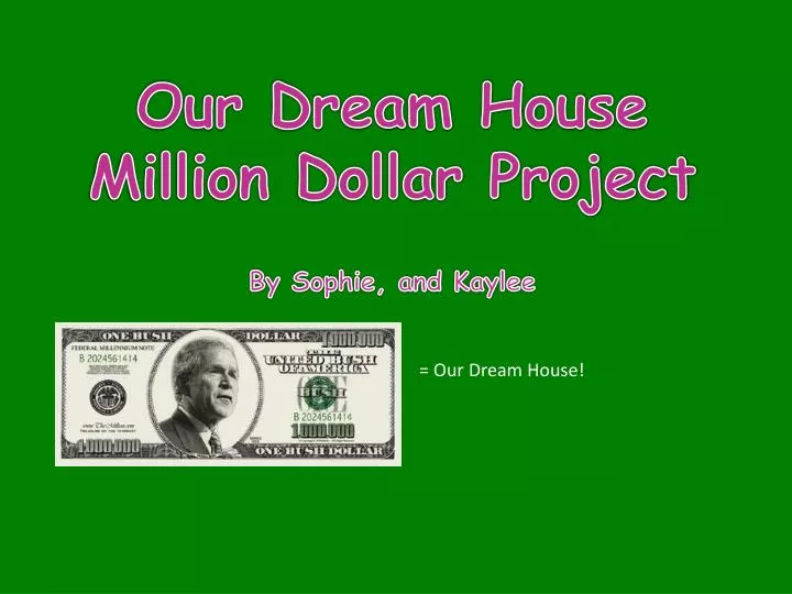 our dream house million dollar project by sophie and kaylee