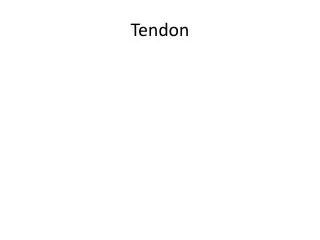 Tendon