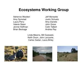Ecosystems Working Group