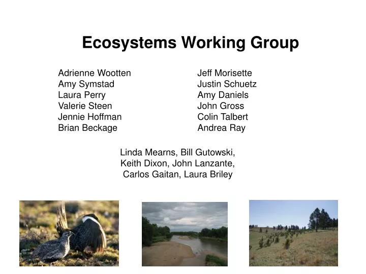 ecosystems working group