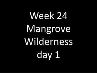 Week 24 Mangrove Wilderness day 1