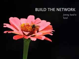 BUILD THE NETWORK