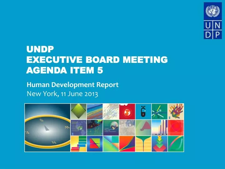 undp executive board meeting agenda item 5