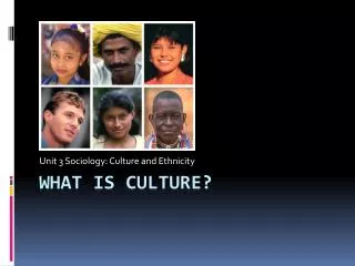 WHAT IS CULTURE?