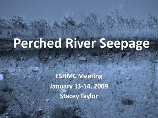 Perched River Seepage