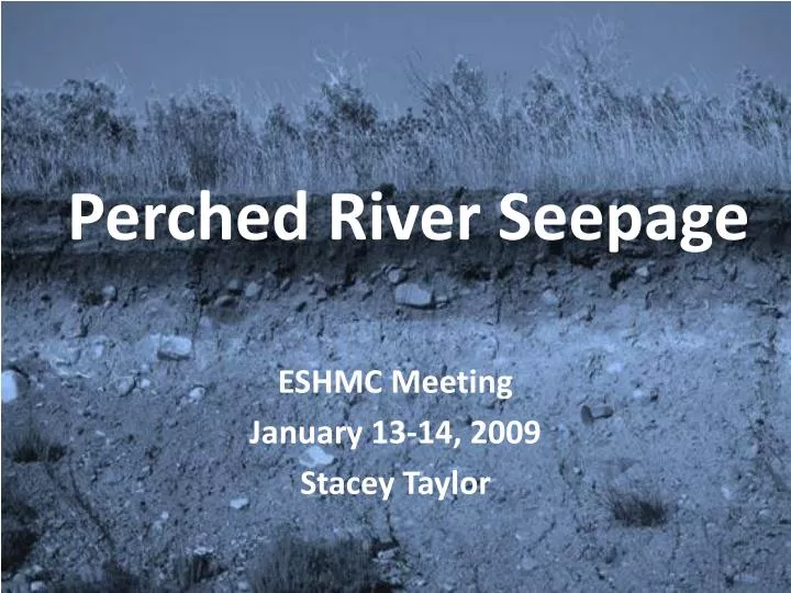 perched river seepage