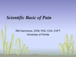 Scientific Basic of Pain