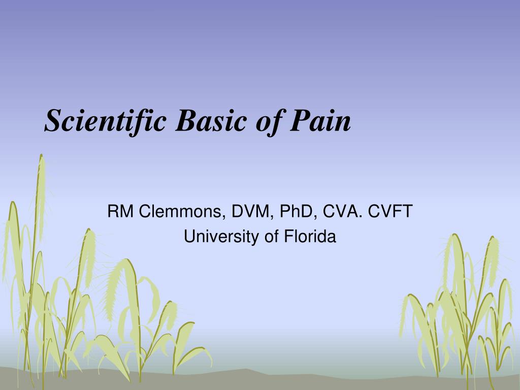 PPT - Scientific Basic of Pain PowerPoint Presentation, free download ...