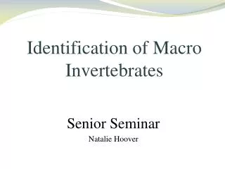 Identification of Macro Invertebrates