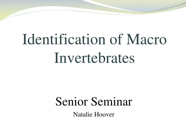 identification of macro invertebrates