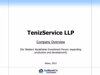 TenizService LLP Company Overview