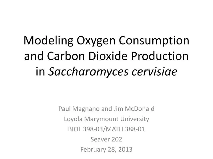 modeling oxygen consumption and carbon dioxide production in saccharomyces cervisiae