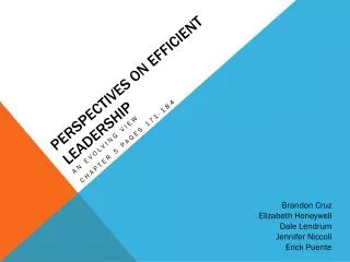 Perspectives on Efficient Leadership